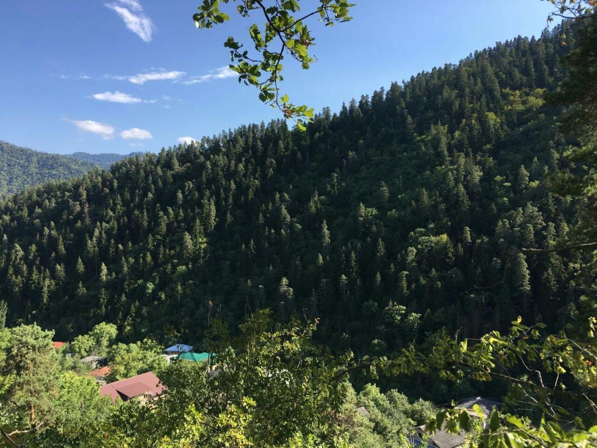 Serenity Likani Villa Hotel بورجومي المظهر الخارجي الصورة