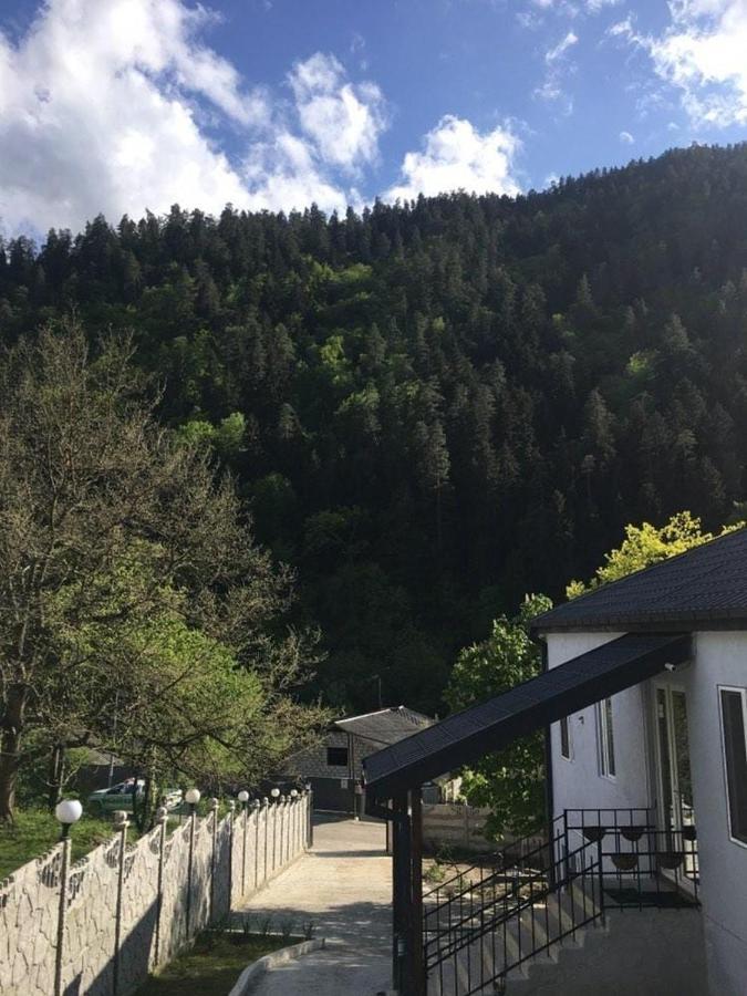 Serenity Likani Villa Hotel بورجومي المظهر الخارجي الصورة